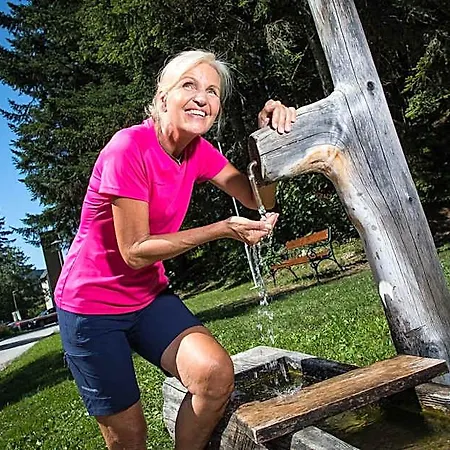 Hotel Gesundheit & Wellness Bad Mitterndorf *